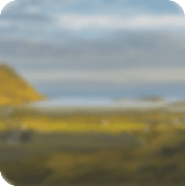 feature-image