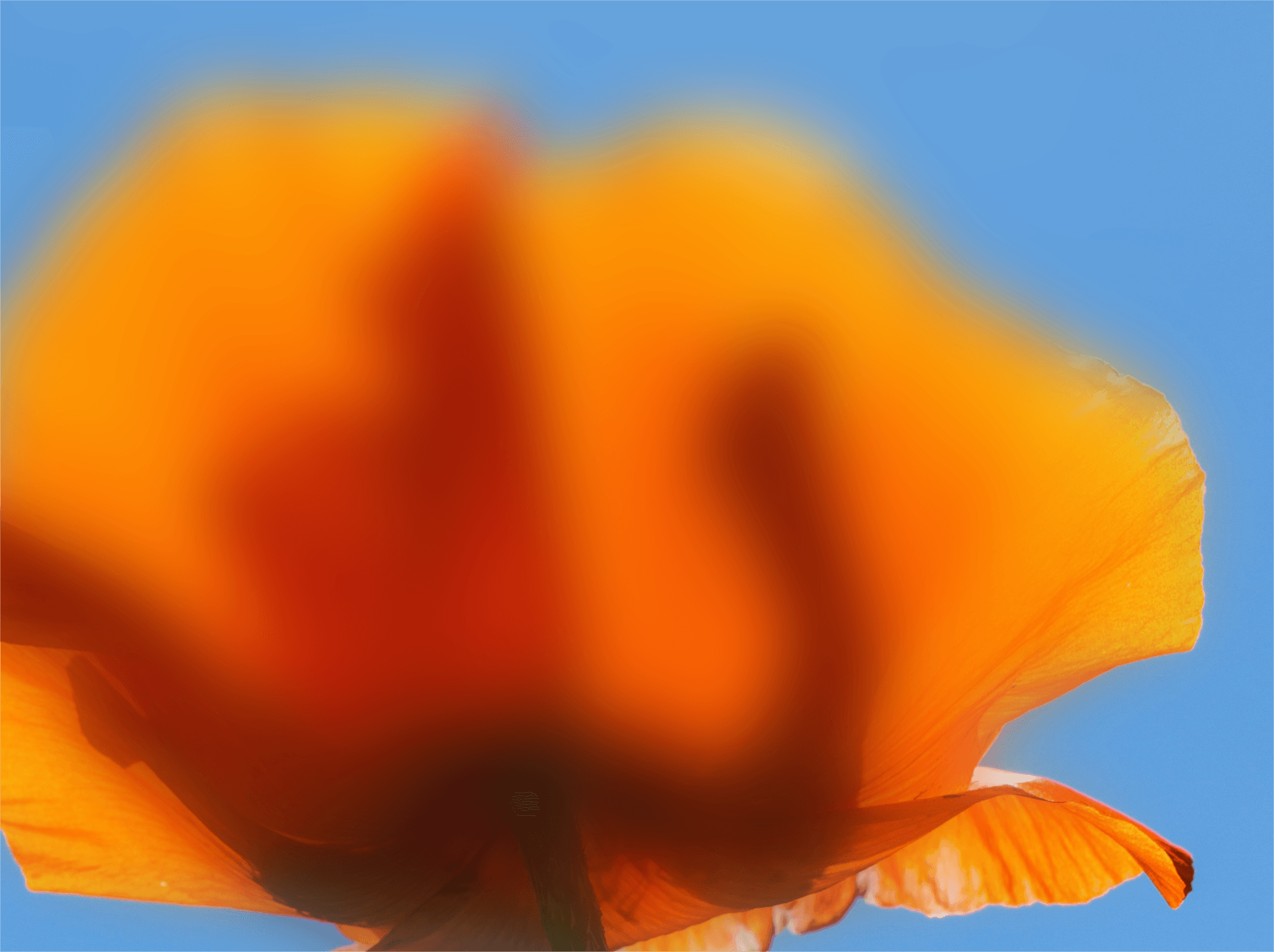 Partner Image