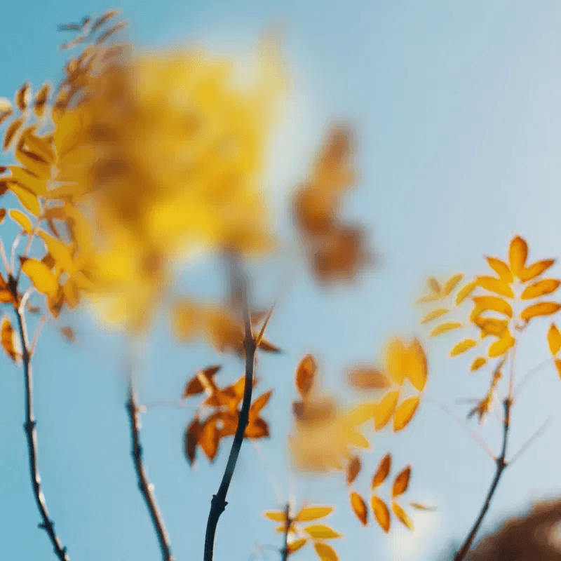 What is Peacefulness?